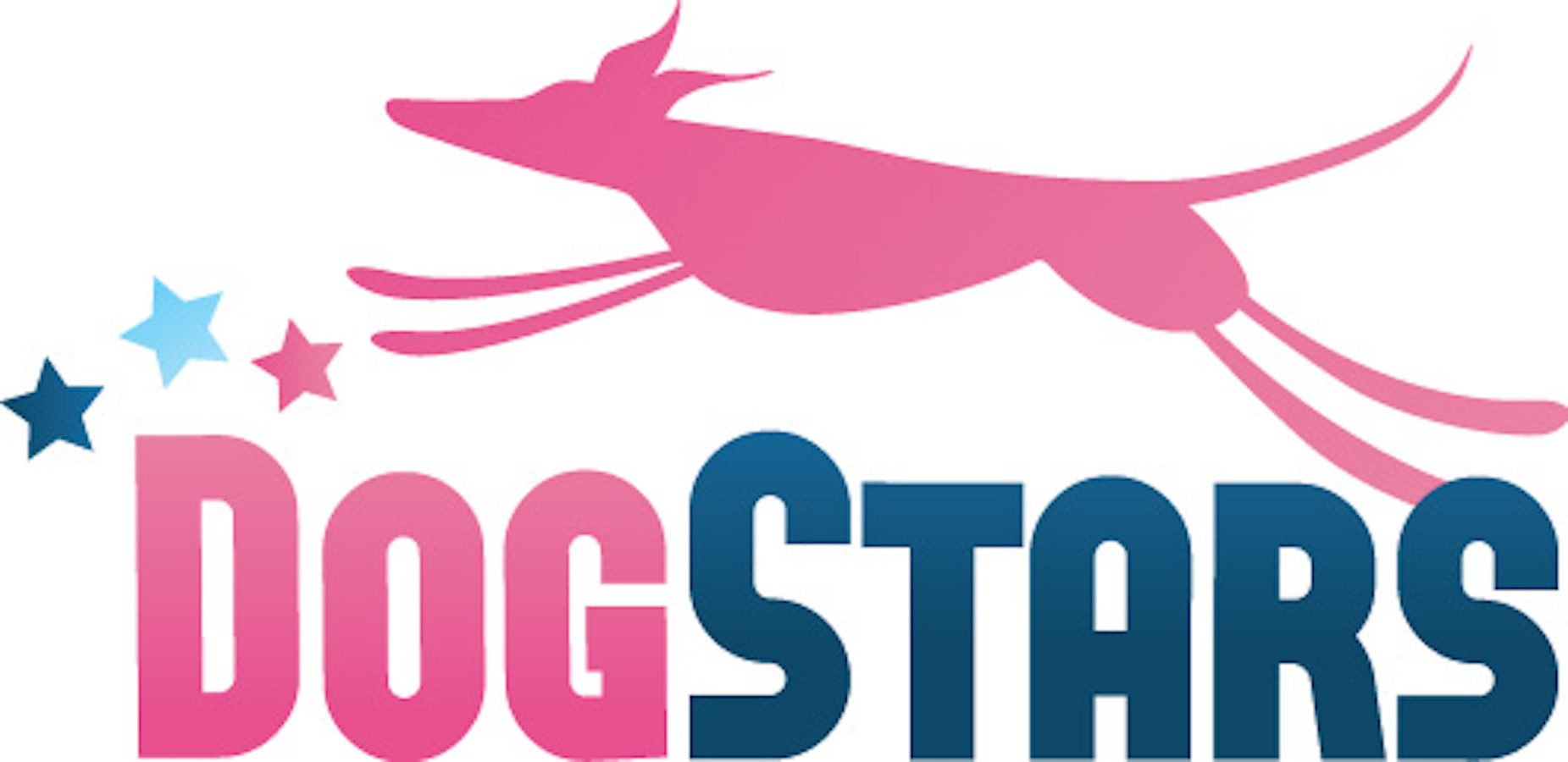 DogStars Training Academy