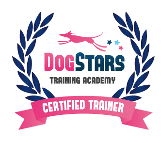 Become a Trainer Program